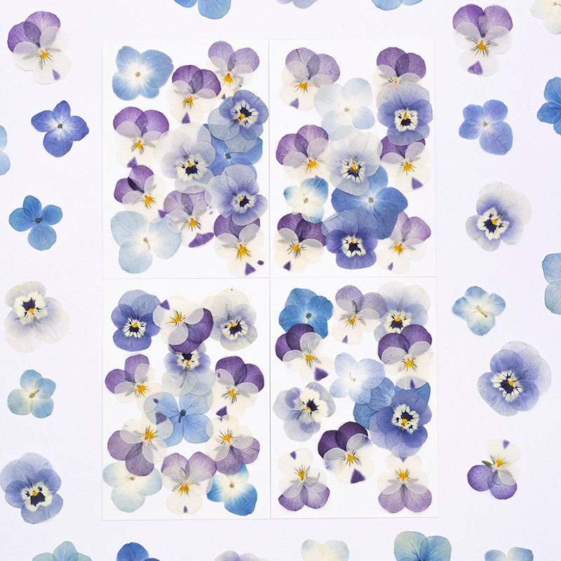 Candle Supplies Usa - 12個入り、本物のヴィオラ・コルヌータ押し花、天然花びら、DIYフェイスメイク、樹脂ブックマーク、キャンドルクラフト、デコレーション用品