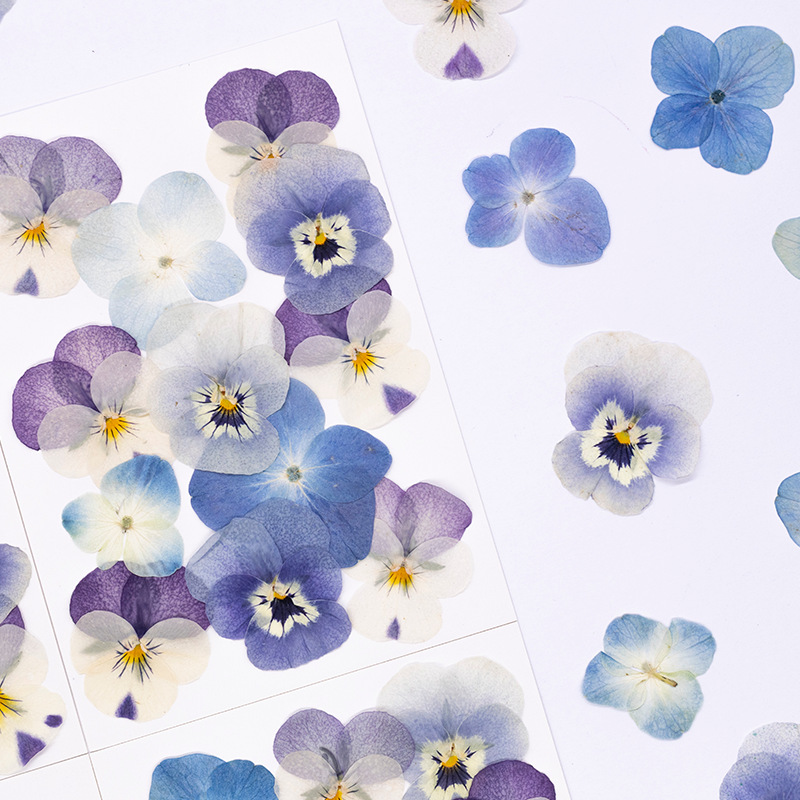 12個入り、本物のヴィオラ・コルヌータ押し花、天然花びら、D - Candle Supplies Usa のレビューと価格