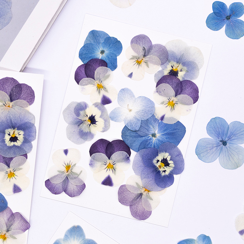 12個入り、本物のヴィオラ・コルヌータ押し花、天然花びら、D - Candle Supplies Usa のレビューと価格